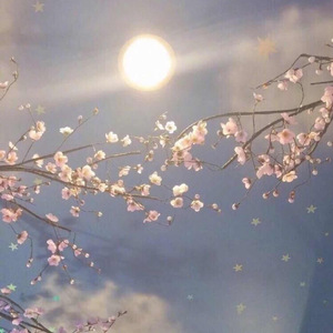 国产使劲操大逼黄片儿
