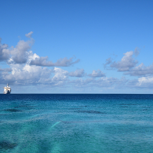 国产使劲操大逼黄片儿
